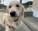 内緒話し聞きます 4児の父。苦難を乗り越え嫁が好き。41歳です。 イメージ10
