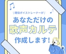 あなただけの歌声カルテ作ります 現役ボイトレ講師があなたの歌声を“見える化”します！ イメージ1