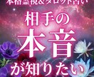 霊視でお相手の本音と恋の行方を静かに読み解きます 言葉にできなかった本当の想いを、霊視でそっとすくい上げます。 イメージ1
