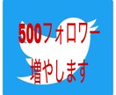 あなたのTwitterフォロワー増やします ★あなたのフォロワー500人増やします★ イメージ1