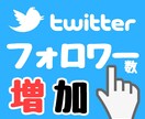 Twitterのフォロワーを+300増やします フォロワーが目標値になるまでグローバルに拡散し続けます！ イメージ1