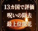 7月 プロ超えの呪いの感知と除去を最上位開花します プロ技術の習得 呪いの概念 対応方法 世界13カ国で評価 イメージ1