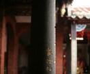 連続三日間の特級縁結び祈祷を行います 潜在意識の深奥──魂の座に直接触れ、愛を結びつける秘儀 イメージ5
