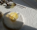 自然光で物撮りします 陶器、磁器、木器、布、すべて自然光で綺麗な質感を出します イメージ8