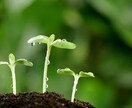 就活/転職サポートします 大手企業採用担当が面接で落ちないための面接レッスン対応 イメージ1