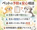 老犬の不安・夜鳴き…どう支える？相談乗ります 経験ベースの寄り添い相談致します イメージ1