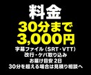 動画の字幕ファイル（SRT）を作成します YouTube・セミナー動画に。30分まで3,000円 イメージ10