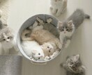 お伝えします 接客業で得た変換ポジティブ思考、伝えさせてください☺︎ イメージ1