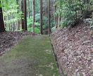 高所特殊作業から空き家のメンテナンスまで承ります 個人のお客様から企業様まで、幅広いご要望にお応えします！ イメージ4