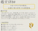 龍財術｜金運に関する"潜在意識"を霊視鑑定します 金運に関する「氣」を変えて、お金を引き寄せる イメージ2