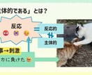 ブログ・SNS・資料向けの図解画像を制作します 文章だけでは伝わりにくい内容を見やすく整理します イメージ5