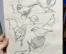東京藝大出身者が挿絵を描きます 挿絵に使う人物や植物などのスケッチをします イメージ9