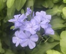 現代日本特有の窮屈感、精神的な悩み、解決します 自分のこころは自分で決める。幸福度とは？ イメージ1