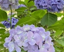 資格アリ・人に話せない心のモヤモヤ聞きます うまく言葉にできなくてもOK！心を軽くするお手伝いします。 イメージ1