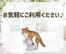 心の充電しませんか？お話しお聴きします 動き出すにはパワーが必要。言葉に出して身軽になりましょう♪ イメージ10
