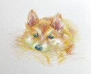 人もペットも!似顔絵描きます 人もペットも、色鮮やかな色鉛筆画で描きます。 イメージ3