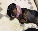 何でもお聞きしてます 愚痴、ストレス、不安など何でも イメージ1