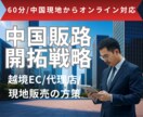 商品を中国市場へ販売したい方へアドバイスをします 中国事業20年の実績ノウハウを中国現地からオンラインでご提供 イメージ1