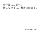 セールスコピー。押しつけずに、惹きつけます 説得ではなく、自然と届く一行を。 イメージ1