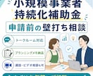 持続化補助金の申請前相談に乗ります 申請前の事業アイデアを一緒に整理します イメージ1