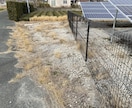産業用太陽光発電所の除草を行います 元野立て太陽光開発担当者が行う、除草代行と点検作業です イメージ10
