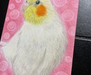 オーダーメイド色鉛筆画　世界に一つの原画になります 愛鳥や野鳥を色鉛筆でひと塗りひと塗りリアルに仕上げます。原画 イメージ9
