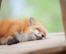 話し相手になります 暇な人、相談に乗って欲しい人なんでも聞いてください！ イメージ1