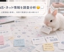 SNSやネットの情報の調査・分析・整理をします 公開情報をもとに、人物・企業・サービスなどを調査・分析します イメージ1