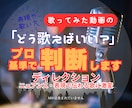 歌ってみた「どう歌えばいい？」プロ基準で判断します 表現／ニュアンスまで言語化してサポート イメージ1