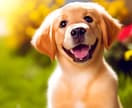 大切なペットのお話聴きます ペットロスになっていませんか？　私は今愛犬の骨壺を抱っこ中 イメージ1