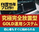 副業に最適！GOLD無裁量完全放置システム教えます プロの渾身作！厳選エントリー＆素早い利確GOLD無裁量運用！ イメージ1