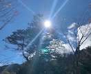 復縁、失恋、片思いのお悩み聞きます ヒーリングを送りあなたのハートを癒してお悩みお聞きします イメージ1