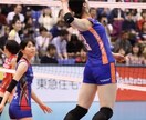 バレーボールが上達します 自分が10年かけて学んできたものを広げていきたいです！ イメージ1