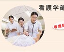 美容、ペット関連のデザインが特に得意でございます 元美容部員、エステティシャン　キャバリアを21年飼っています イメージ1