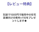 本当は教えたくない！反則的な簡単副業教えます 中高生でも出来る！コピペレベルの副業超入門編(サポート有) イメージ3