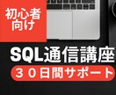 SQL入門通信教育/初心者向け 家庭教師します 大規模システム開発に従事してきた現役エンジニアが対応します イメージ1