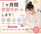 現役医大生が1か月伴走！勉強管理＆質問対応します 勉強計画の作成から質問対応まで、目標達成をサポートします！ イメージ1
