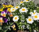 チャネリングタロットワンオラクル鑑定致します 知りたいことの一問一答です＾＾☆ イメージ1