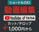 YouTube・TikTok動画編集いたします 【格安×高品質】YouTube等動画編集いたします！ イメージ1