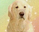 ペットの写真を絵画風にしアイコン作成します 【特別価格】お写真を絵画風に加工しアイコンを作成致します！ イメージ3