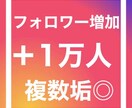 instagramフォロワー1万人増加します インスタ集客の未来を変える最強プラン イメージ1