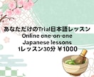 あなたの目標に合わせた日本語レッスンします 楽しく実践！オンライン日本語レッスンします(お試しレッスン) イメージ1