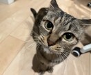 女性の方向けです。お話し聞きます 一人で抱えこんで本当の闇に落ちる前に イメージ8