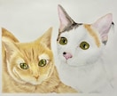 ペットの絵描きます 〜 色鉛筆で描くわんちゃん、ねこちゃんの似顔絵 〜 イメージ5