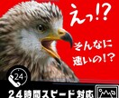 超短期◆納期にお困りの方！ / LP制作代行します 最短翌日納品！LP構成/ライティング/デザインを丸投げOK イメージ1