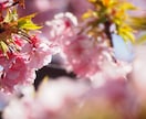 現役看護師が気持ちを受け止めます まとまらなくても、そのままで大丈夫ですよ。 イメージ2