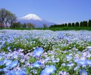 普通の主婦ですが、あなたのご相談に乗ります ストレスが溜まっていて誰かに話を聞いてもらいたいあなたへ イメージ1