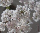 誰にも言えない悩み 　四宮が聞き、導きます 誰にも話せない悩み相談してみませんか？【初回限定】 イメージ1