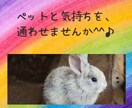 ペットの意識と繋がって、気持ちをお伝えします ペットの気持ちを知って、もっともっと絆を深めませんか？ イメージ2