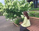 機能性ディスペプシア経験者があなたに寄り添います 食べられず苦しんだ闘病生活｜今は毎日幸せに暮らしています イメージ1